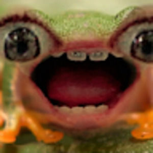 Meet your Posher, Sophia